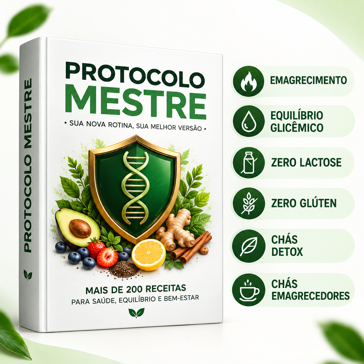 Capa do Protocolo Mestre